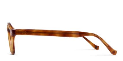 Muse x Transitions M Round Tortoise glasses - Tortoise - Side View