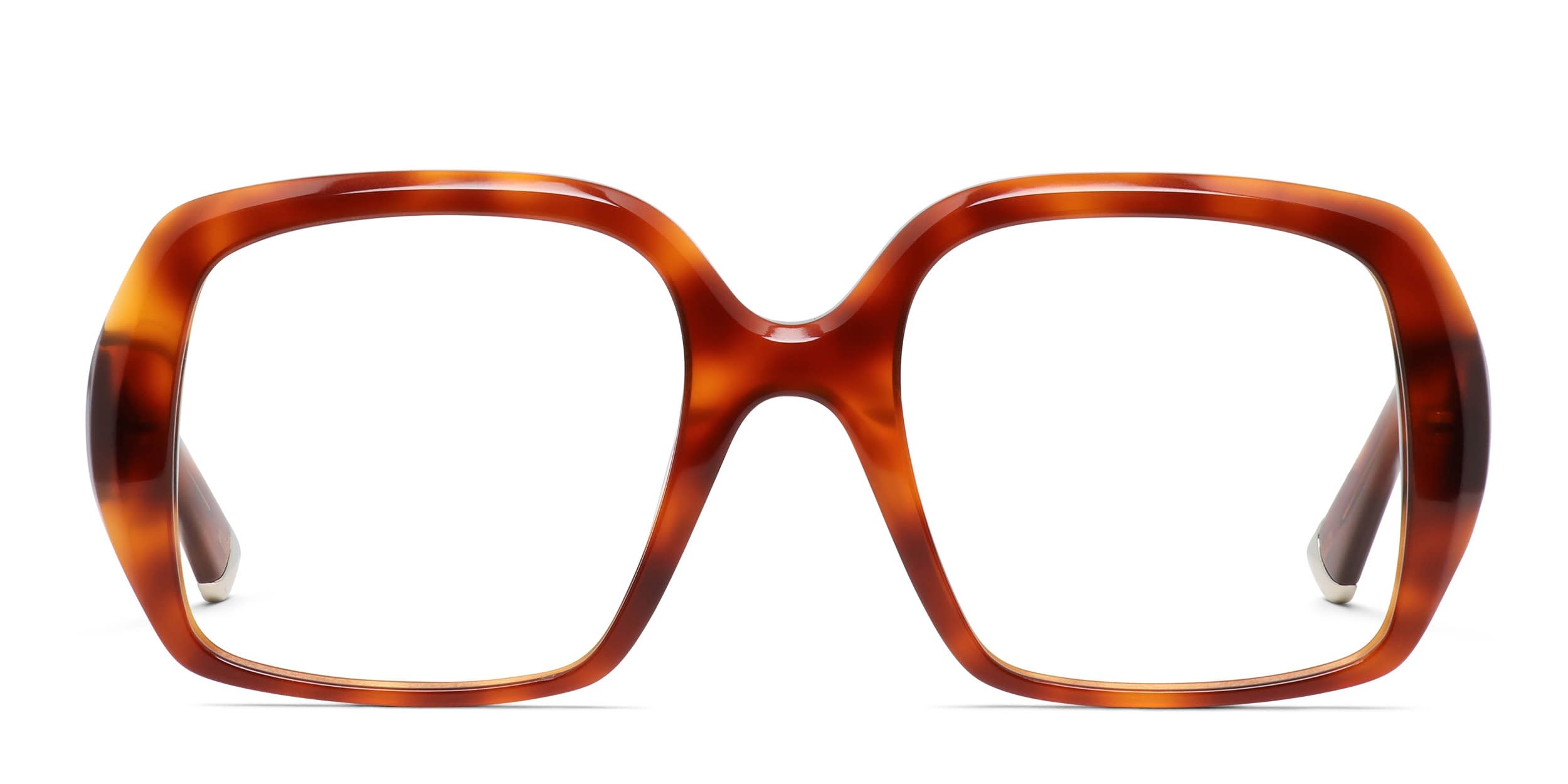Muse Del Mar Tortoise glasses - Tortoise - Frontal View