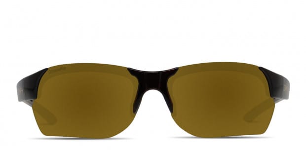 Smith Envoy Max Brown Tortoise Gold Sunglasses