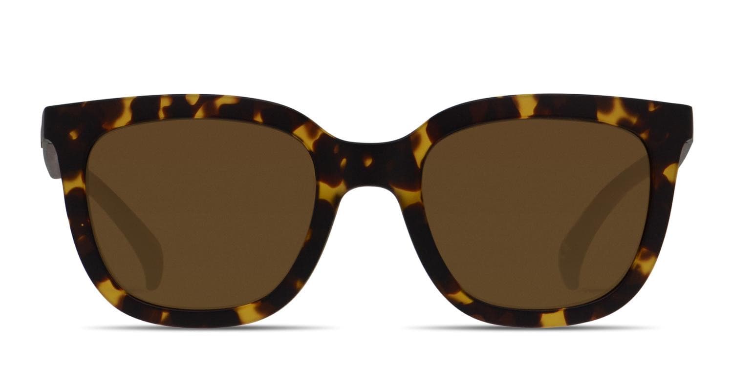 Adidas AOR019 Tortoise/Black/Brown glasses - Tortoise / Black / Brown - Frontal View