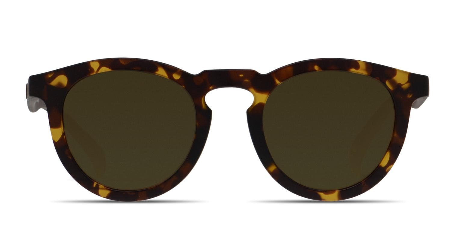 Adidas AOR017 Tortoise/Black/Brown glasses - Tortoise / Black / Brown - Frontal View