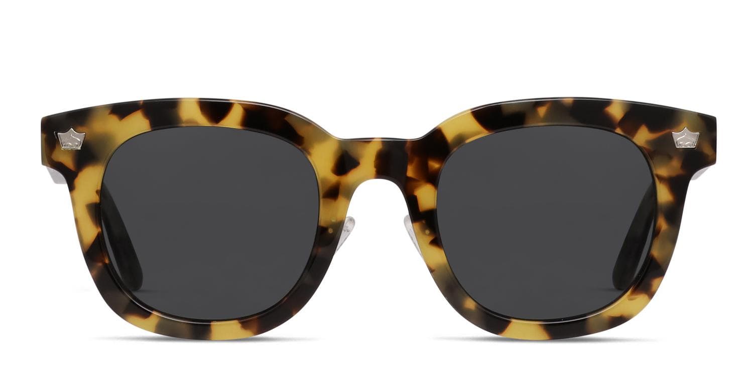 Diff x Harry Potter Hufflepuff Tortoise glasses - Tortoise - Frontal View