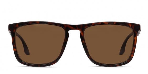 ライコーオーフラッシュネスPSA8 2020 Pokémon Sword & Shield Vivid Voltage Nessa Full Art Rare #183