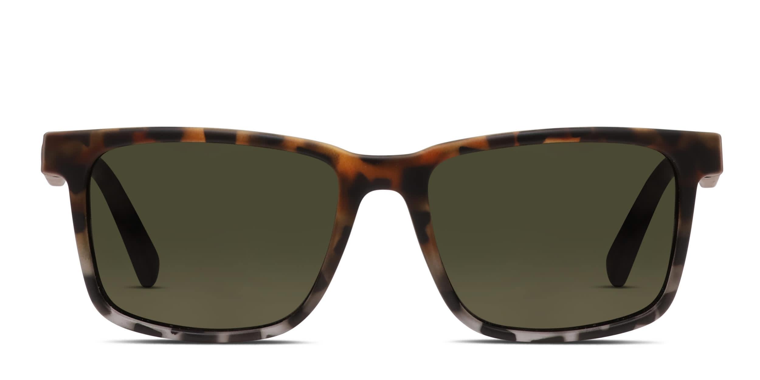 Electric Satellite Tortoise, Gray glasses - Tortoise / Gray - Frontal View