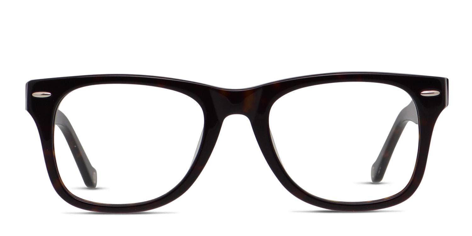 Muse M Classic Dark Shiny Tortoise glasses - Tortoise - Frontal View