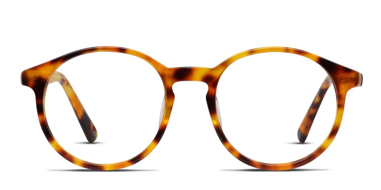 Muse M8071 Tortoise glasses - Tortoise - Frontal View