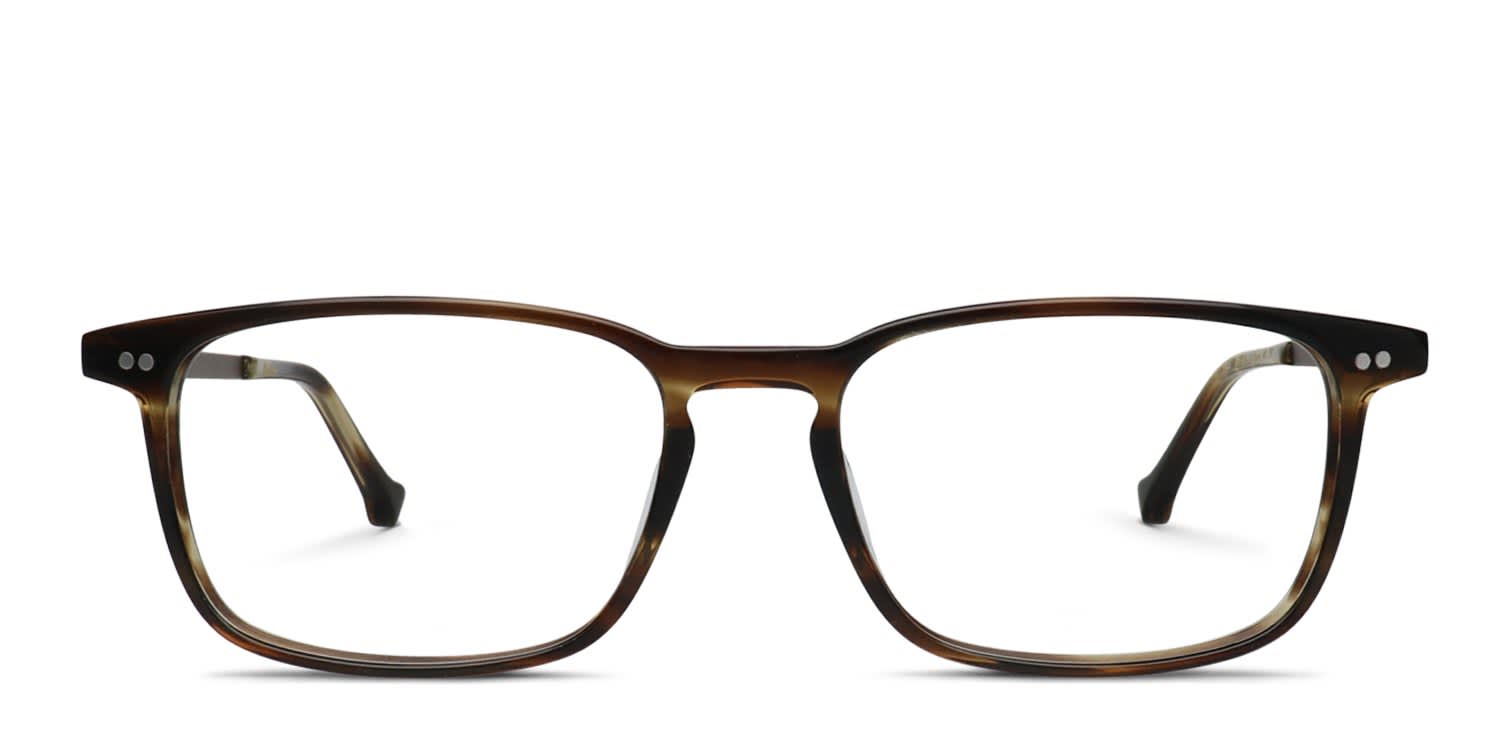 Belvie Paul Brown, Tortoise glasses - Brown / Tortoise - Frontal View
