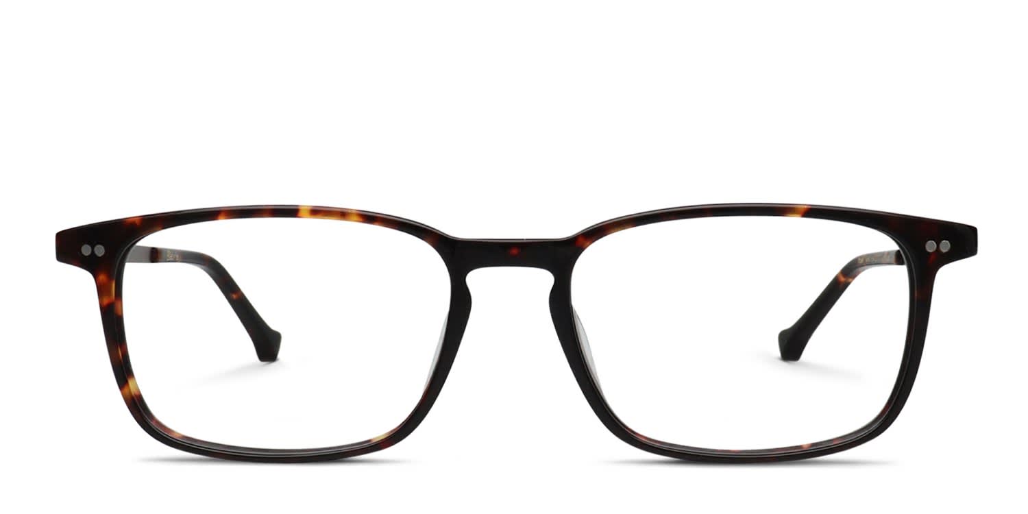 Belvie Paul Tortoise glasses - Tortoise - Frontal View