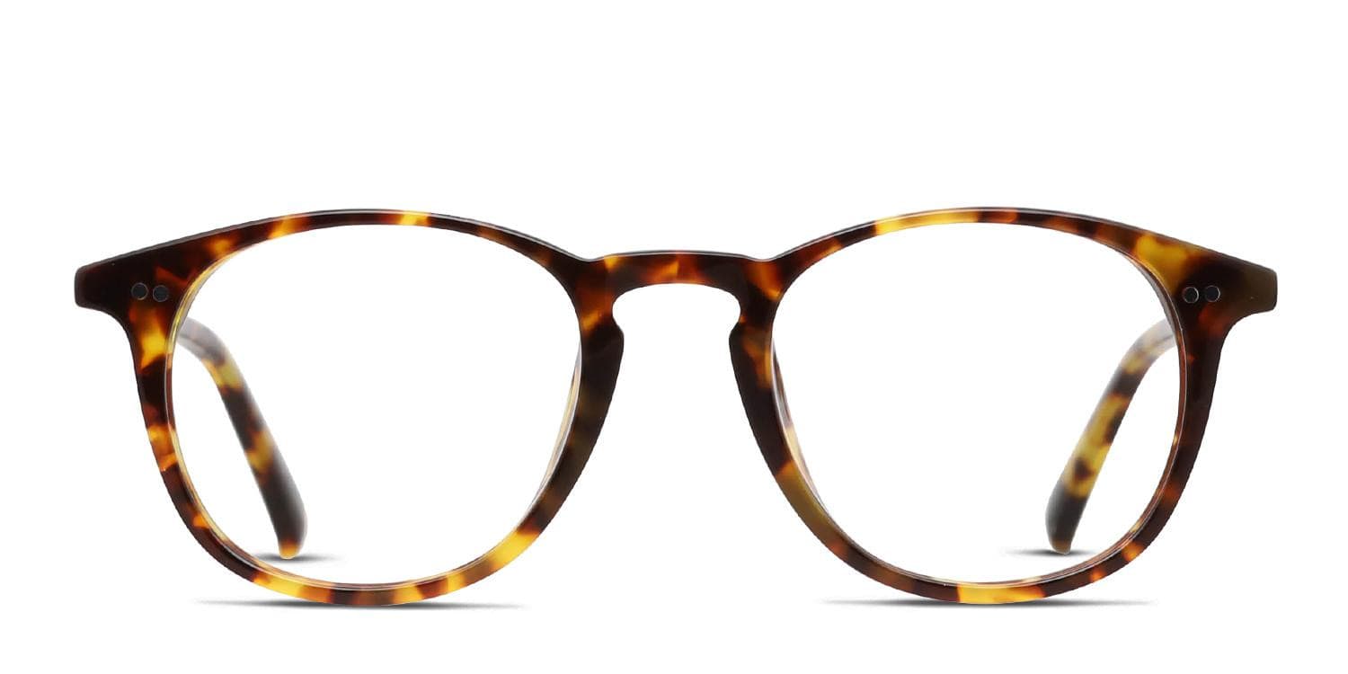 Diff Jaxson Tortoise Eyeglasses | Includes FREE Rx Lenses