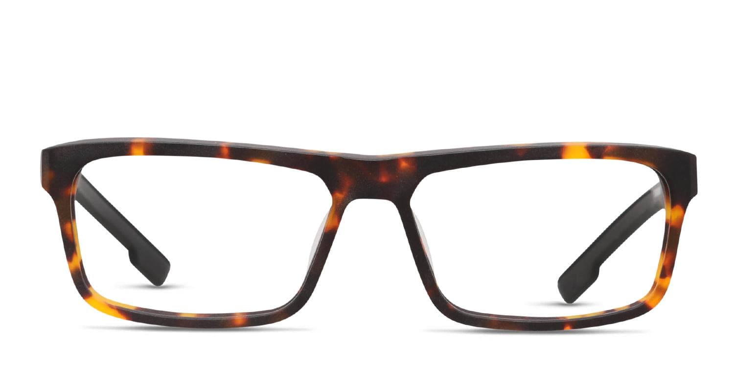 Spy Holt Tortoise, Black glasses - Tortoise / Black - Frontal View