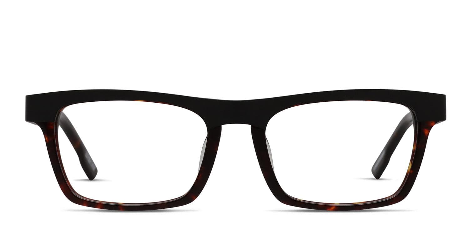 Spy Zade Brown, Tortoise, Black glasses - Brown / Tortoise / Black - Frontal View