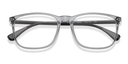 Emporio Armani EA3177 Gray, Clear glasses - Gray / Clear - Angle View
