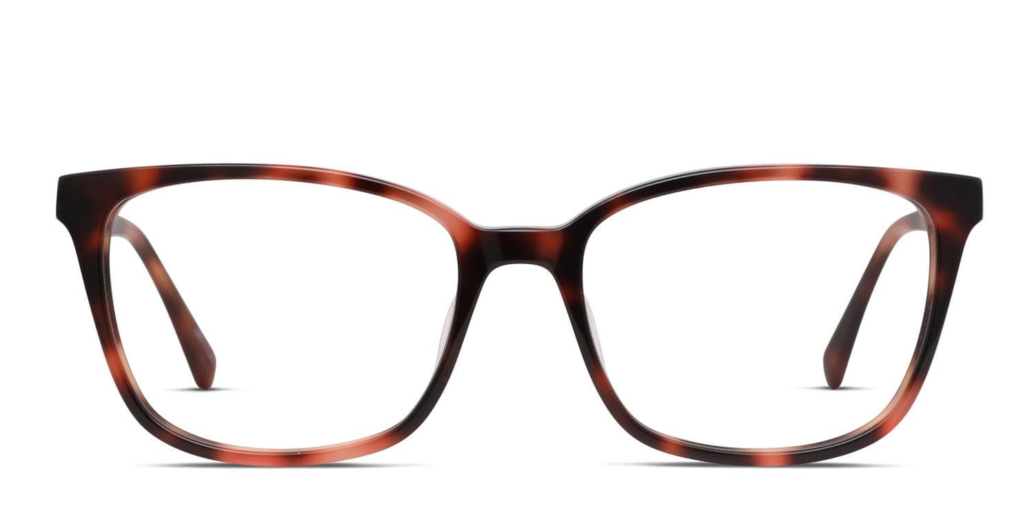 Kate Spade Davina Tortoise glasses - Tortoise - Frontal View