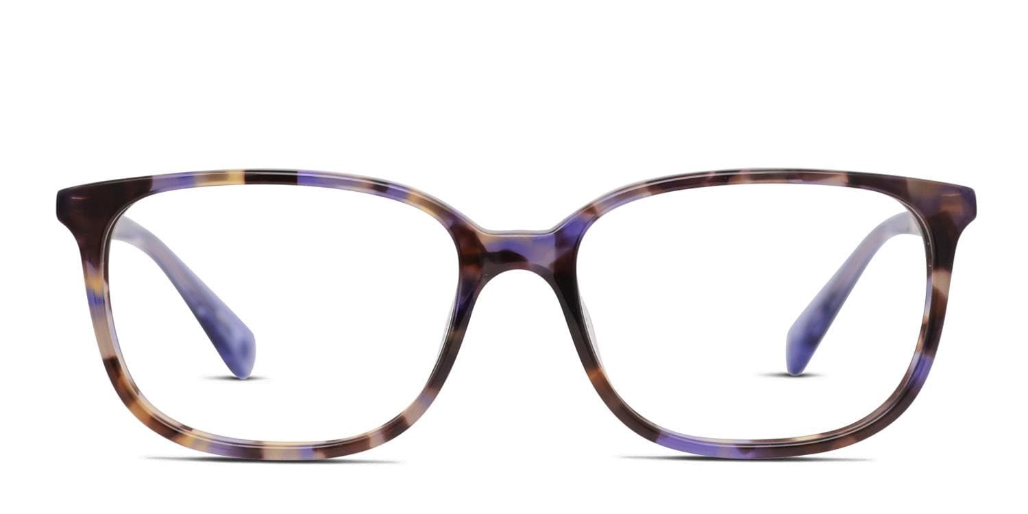 Kate Spade Natalia Tortoise/Blue glasses - Tortoise / Blue - Frontal View