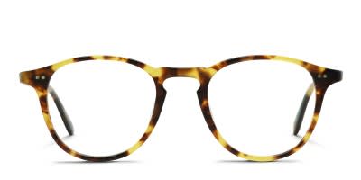 Garrett Leight Hampton