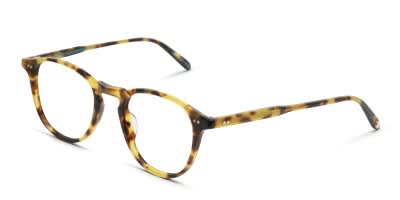 Garrett Leight Hampton