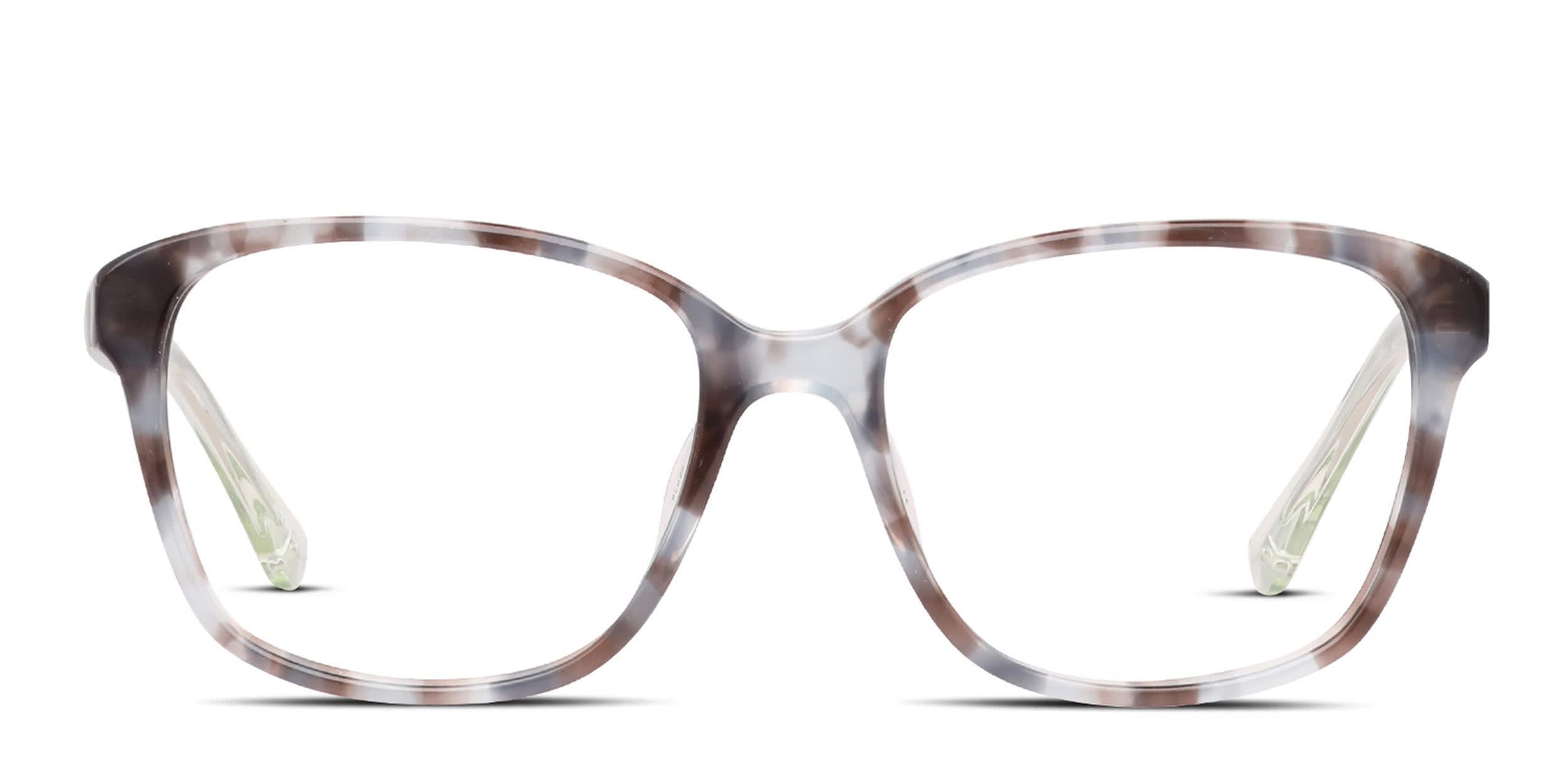 Kate Spade Acerra Tortoise, Blue glasses - Tortoise / Blue - Frontal View