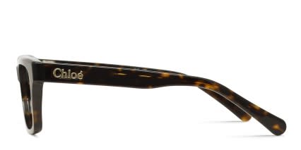 Chloe CH0242O Tortoise glasses - Tortoise - Side View
