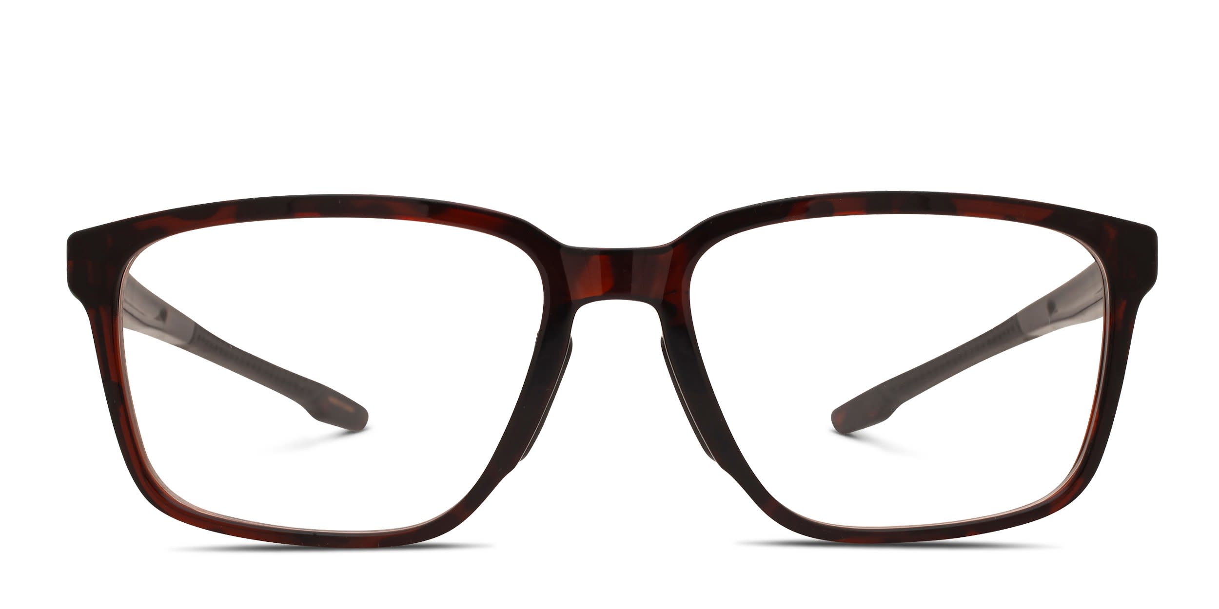Smith Optics Basepath Brown, Tortoise glasses - Brown / Tortoise - Frontal View