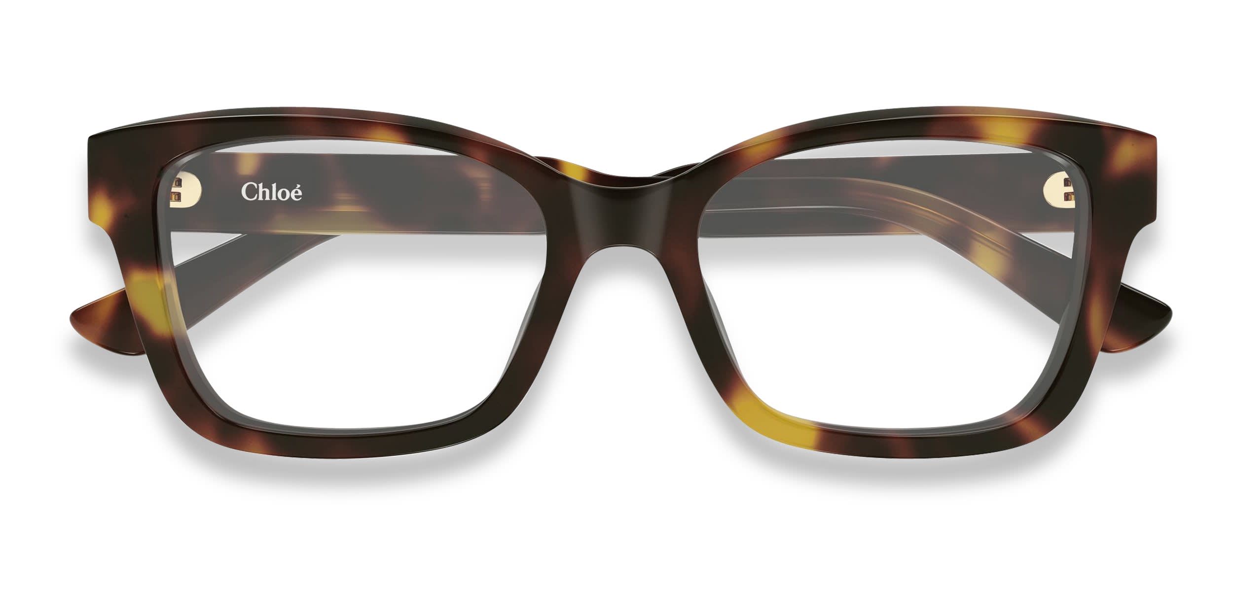 Chloe CH0380O Tortoise glasses - Tortoise - Frontal View