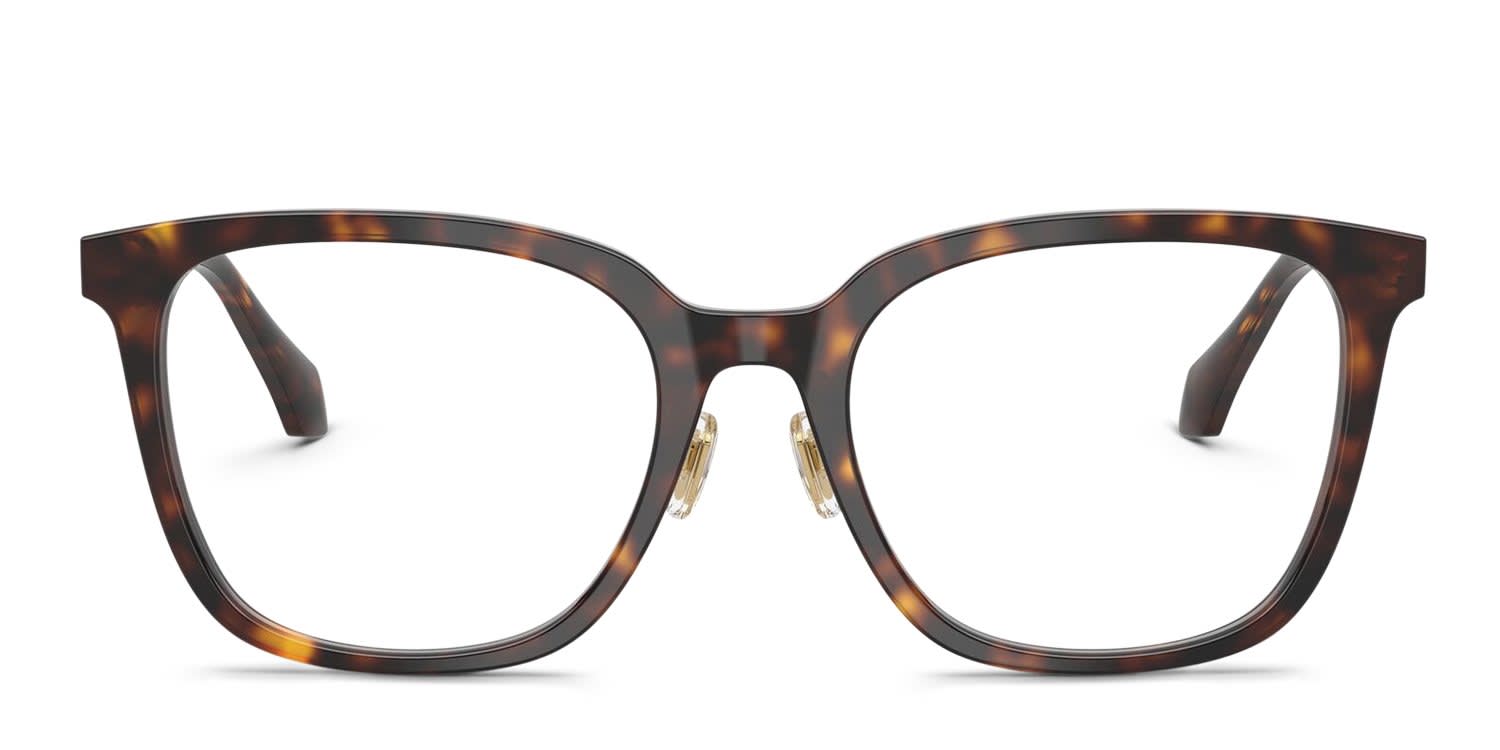 Jimmy Choo JC3038D tortoise frame