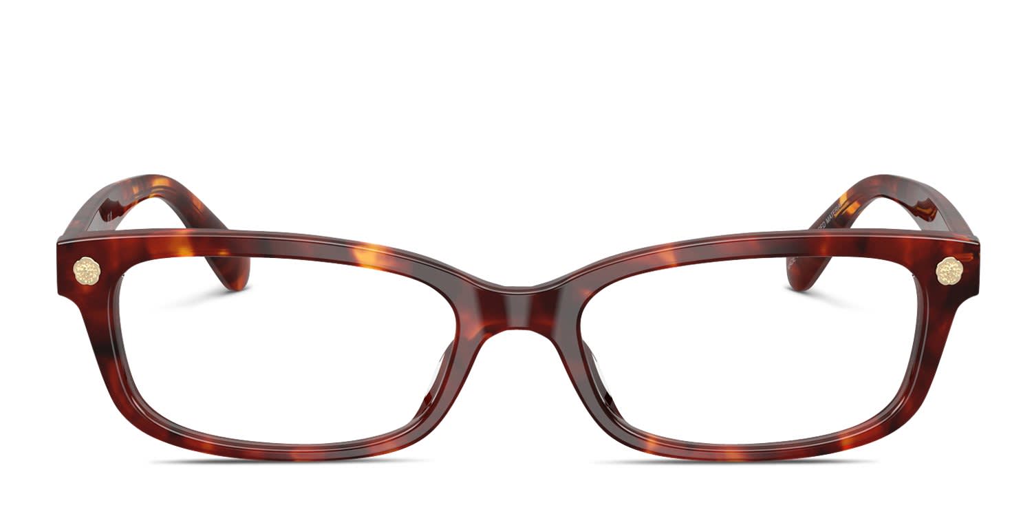 Coach HC6308U Tortoise glasses - Tortoise - Frontal View