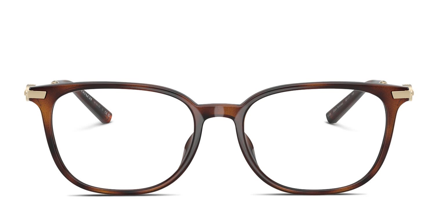Coach HC6312D Tortoise glasses - Tortoise - Frontal View