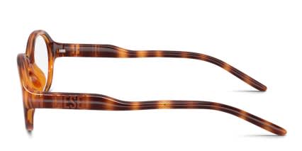 Diesel DL6014U Tortoise glasses - Tortoise - Side View
