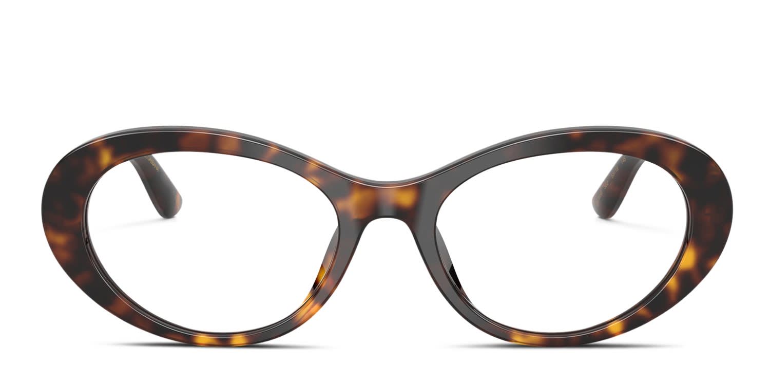 Dolce & Gabbana DG3450 Tortoise glasses - Tortoise - Frontal View