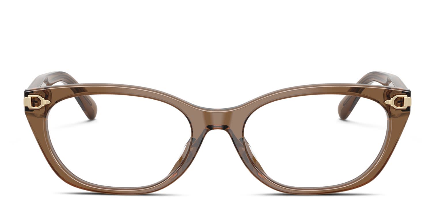 Ralph Lauren RL6268U Clear, Gray, Brown glasses - Clear / Gray / Brown - Frontal View