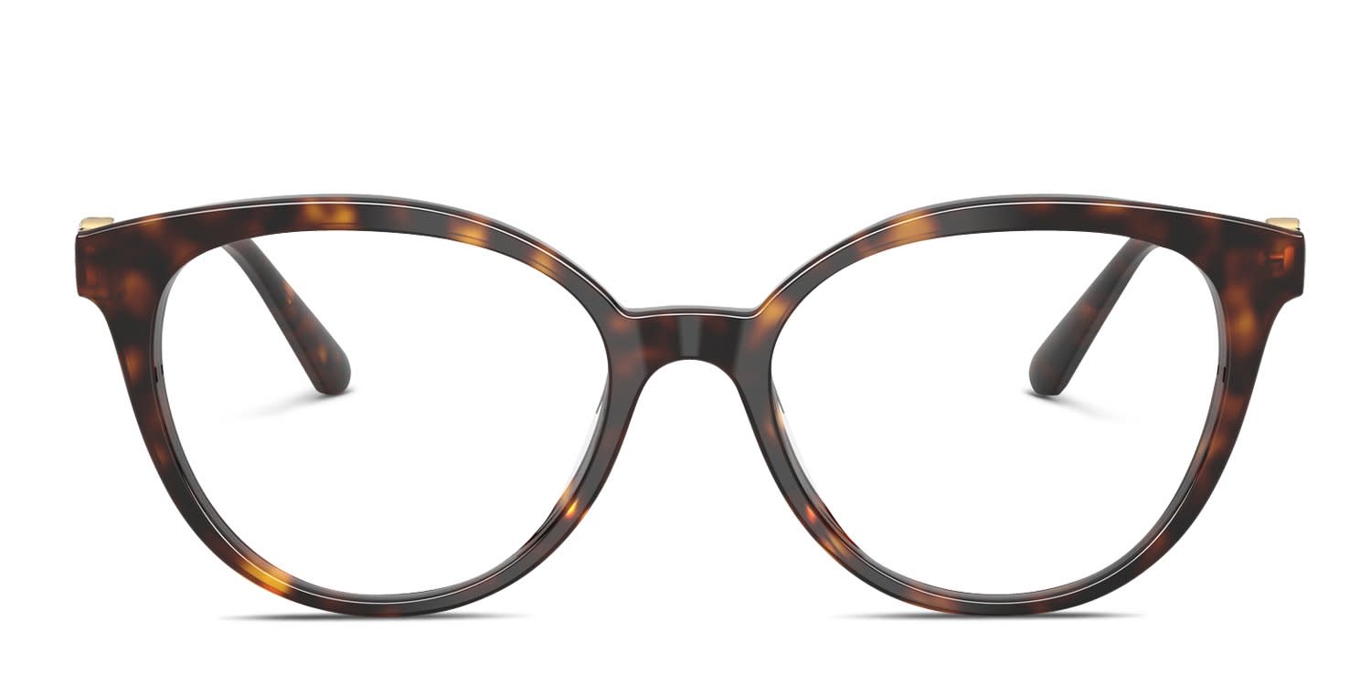 Swarovski SK2078 Tortoise glasses - Tortoise - Frontal View