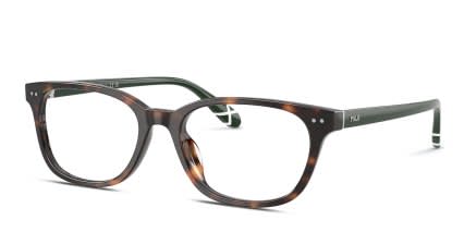Polo Ralph Lauren PH2315U Tortoise glasses - Tortoise - Angle View