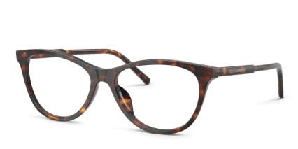 Dolce & Gabbana DG3443 Tortoise glasses - Tortoise - Angle View