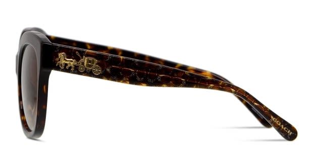 Coach HC8264 Tortoise, Glitter Prescription Sunglasses - 50  display picture 3