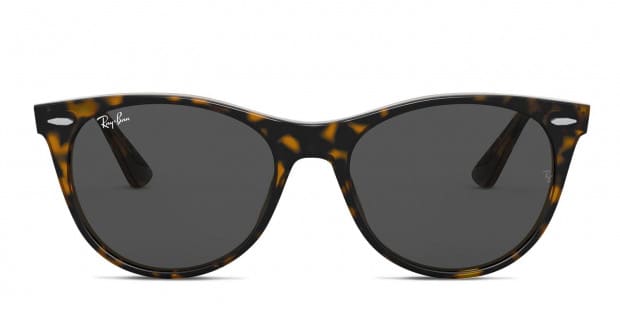 2185 ray hot sale ban