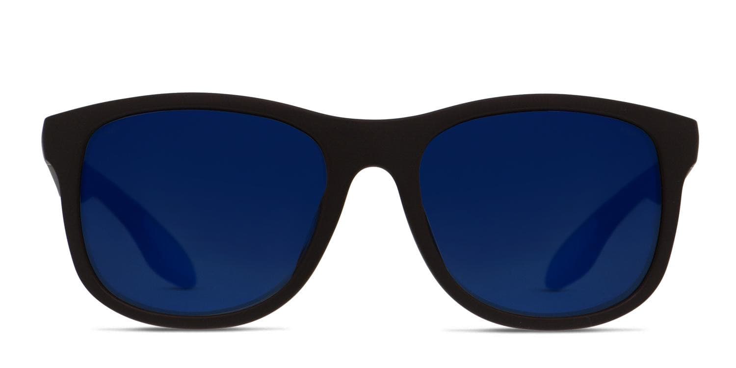 FILA SF9250 Brown, Blue glasses - Brown / Blue - Frontal View