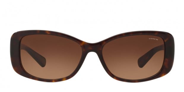 Coach cheap canada sunglasses