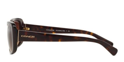Coach HC8168 Brown, Tortoise glasses - Brown / Tortoise - Side View