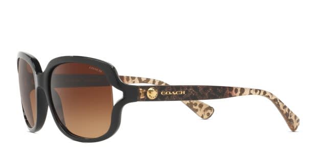 Coach HC8169 Black/Brown/Tortoise Prescription Sunglasses