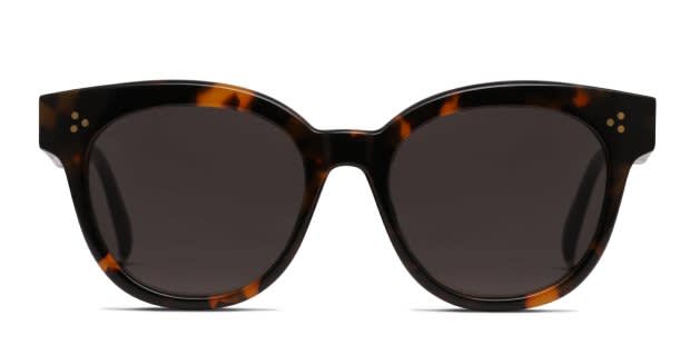 RAEN Nikol Tortoise Prescription Sunglasses - 50% Off Lenses display picture 3