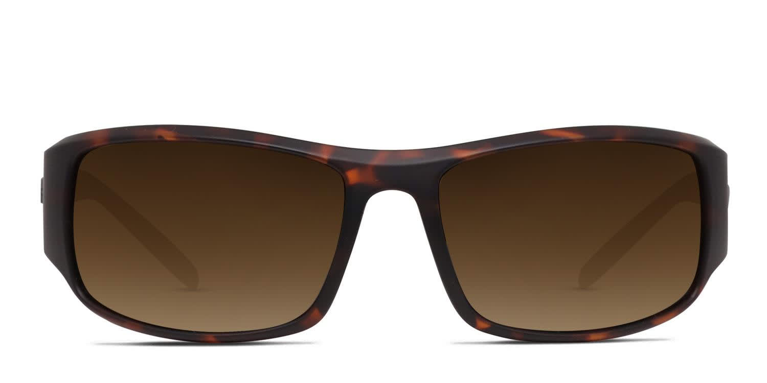 Bolle King Brown, Tortoise glasses - Brown / Tortoise - Frontal View