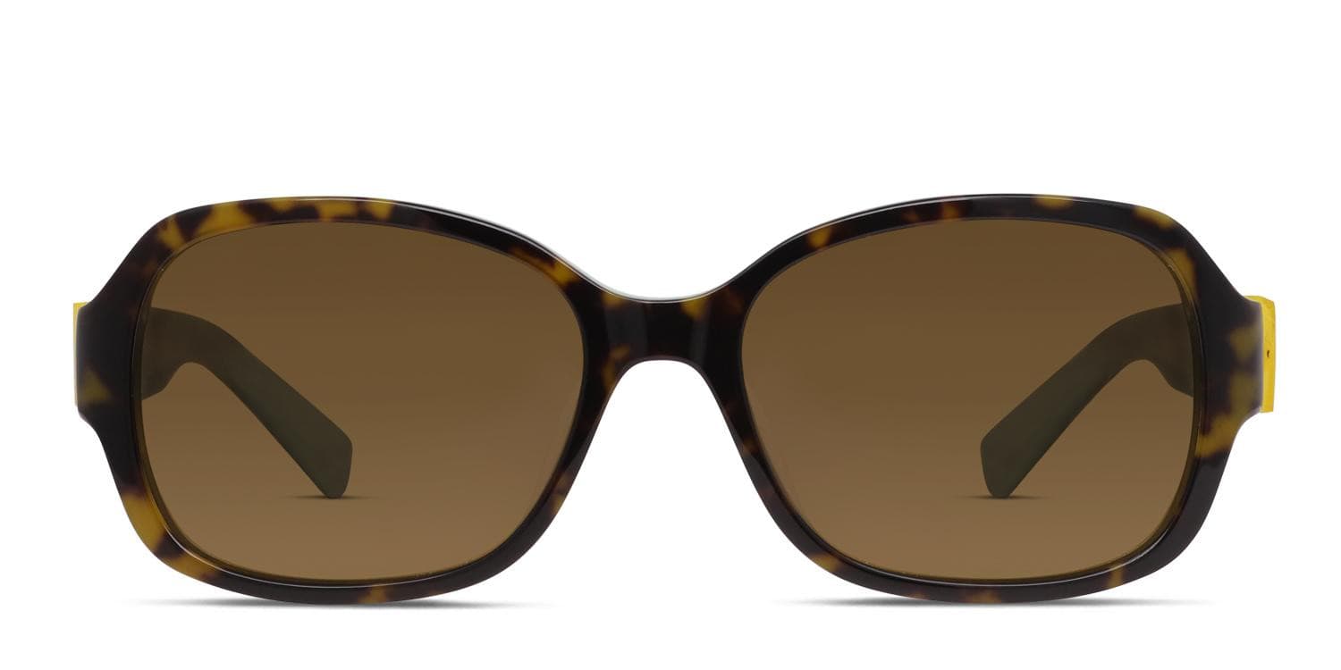 Kate Spade Akira/P/S Brown/Tortoise/Blue glasses - Brown / Tortoise / Blue - Frontal View
