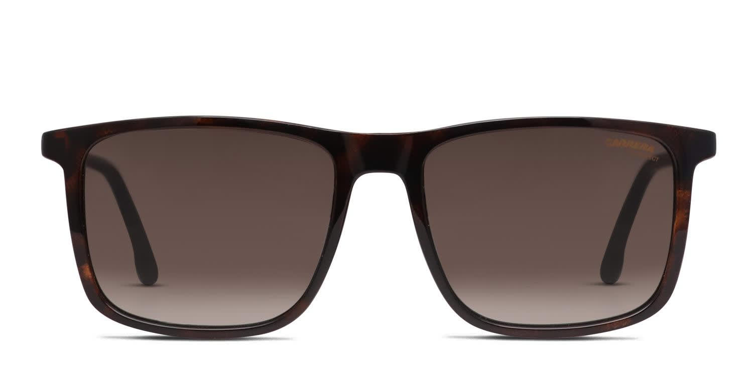 Carrera 231/S Brown/Tortoise/Black glasses - Brown / Tortoise / Black - Frontal View