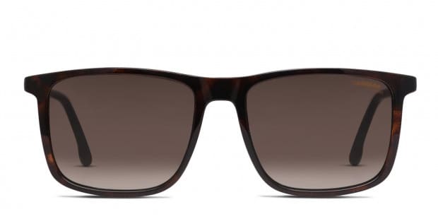 Carrera 231/S Brown, Tortoise, Black Prescription Sunglasses  display picture 2