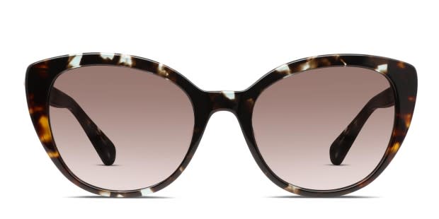 Kate Spade Sunglasses w/ Case Striped/ Dark Brown Tortoise Shell Frame Kate Spade PAXTON/N/S US Sunglasses | FREE Shipping - SOLD OUT main image 4