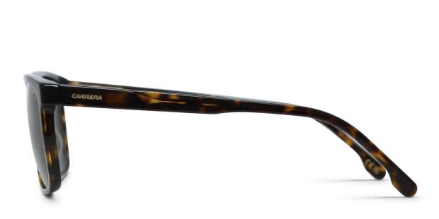 Carrera C Flex 10/G/S Tortoise Sunglasses Online display picture 3