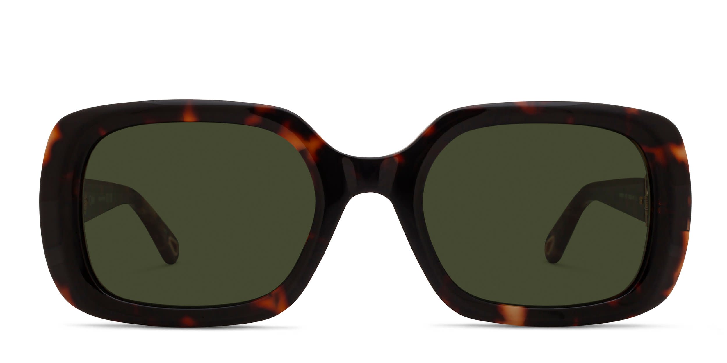 Chloe CH0333S Tortoise, Green glasses - Tortoise / Green - Frontal View