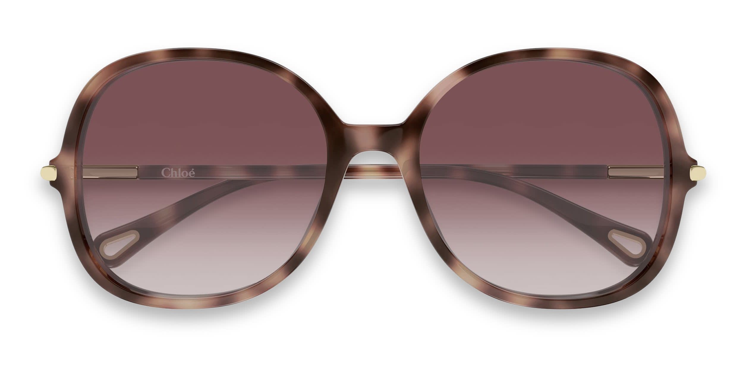 Chloe CH0383S Tortoise, Beige glasses - Tortoise / Beige - Frontal View