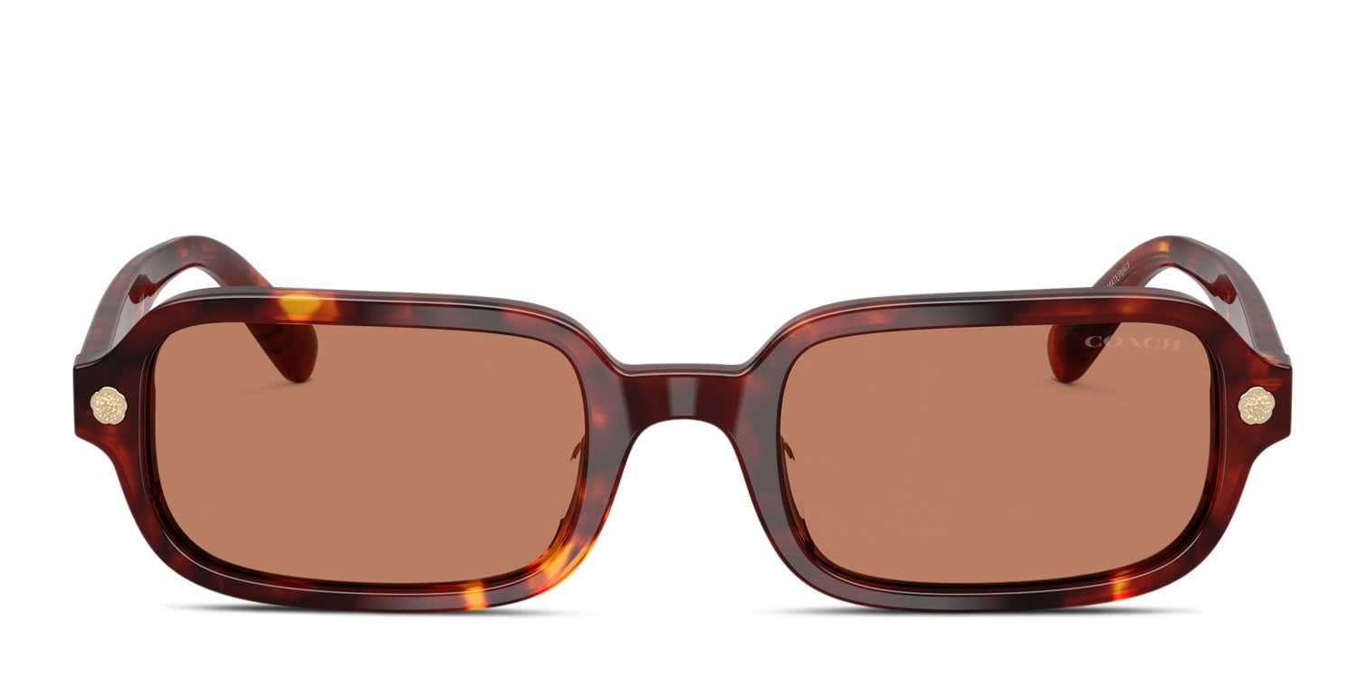 Coach HC8465U CFU11 Tortoise, Brown glasses - Tortoise - Frontal View