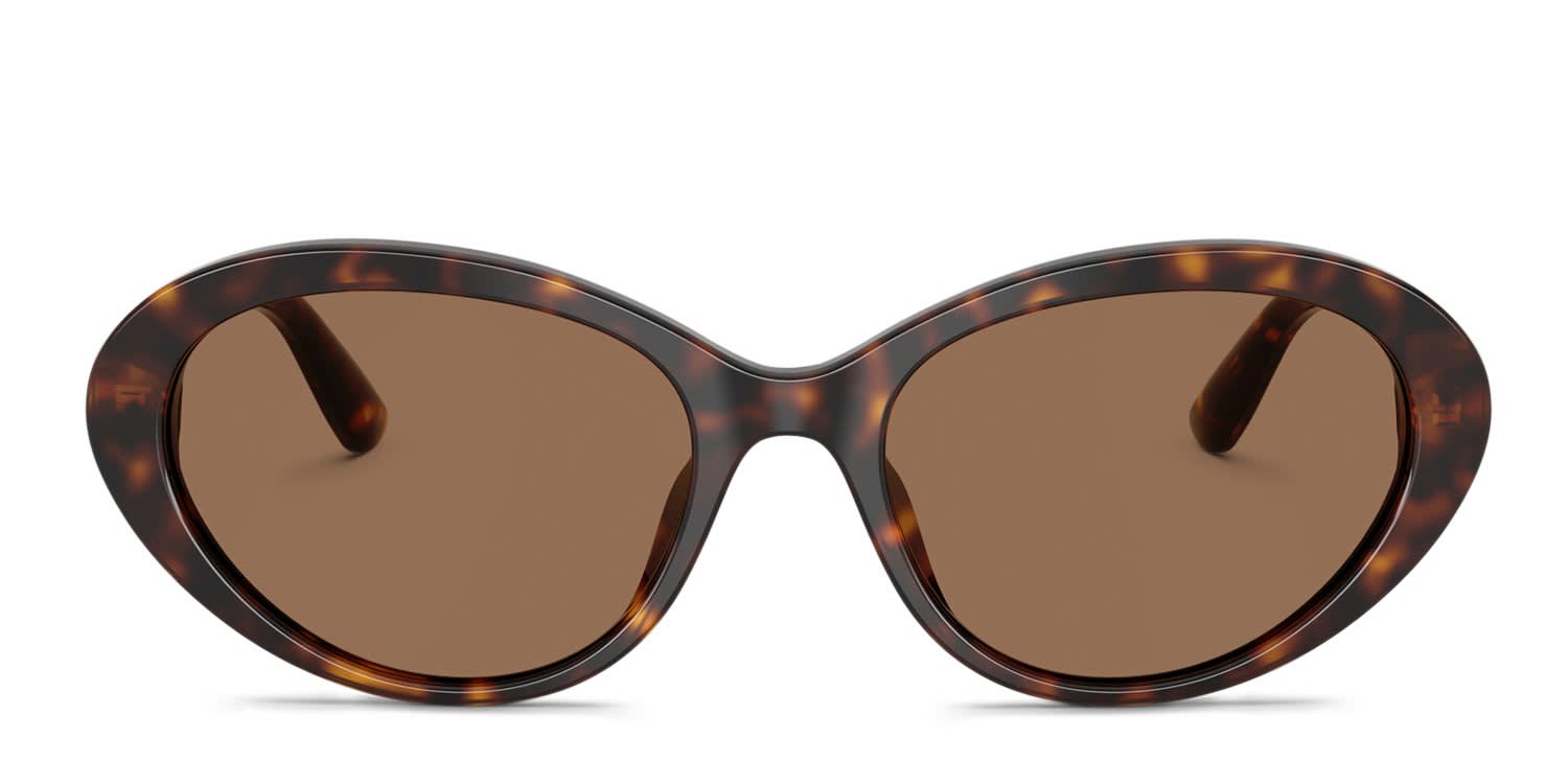 Dolce & Gabbana DG4570 Tortoise, Brown glasses - Tortoise - Frontal View
